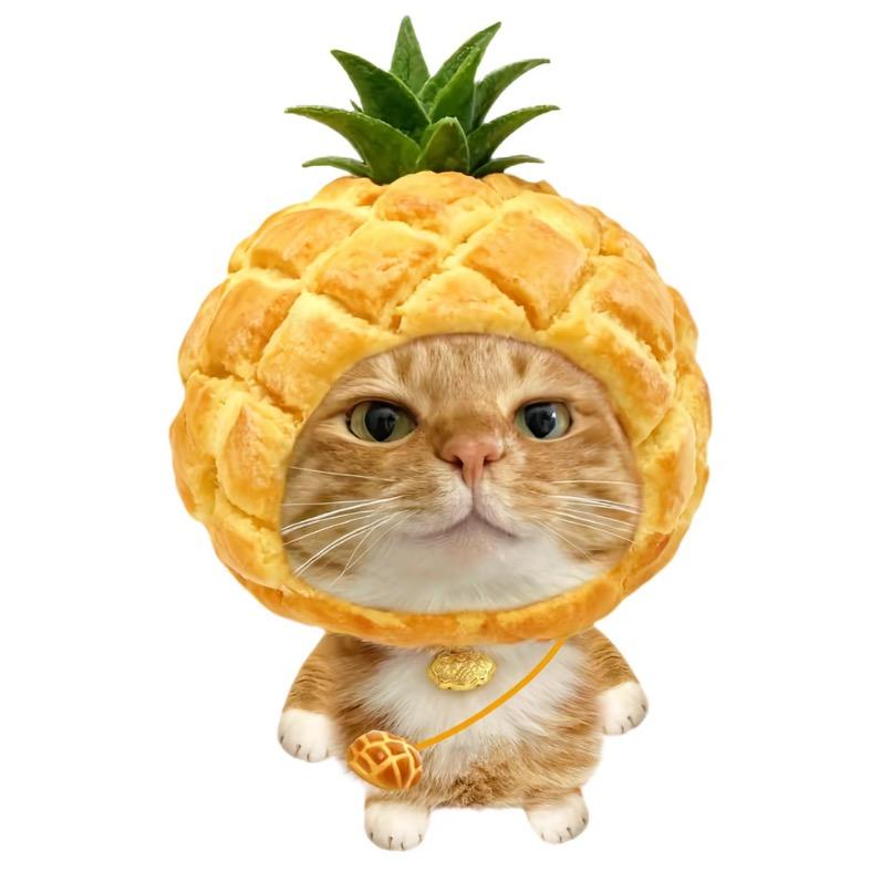 🍍