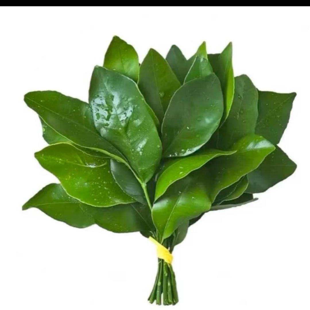 十点睡觉