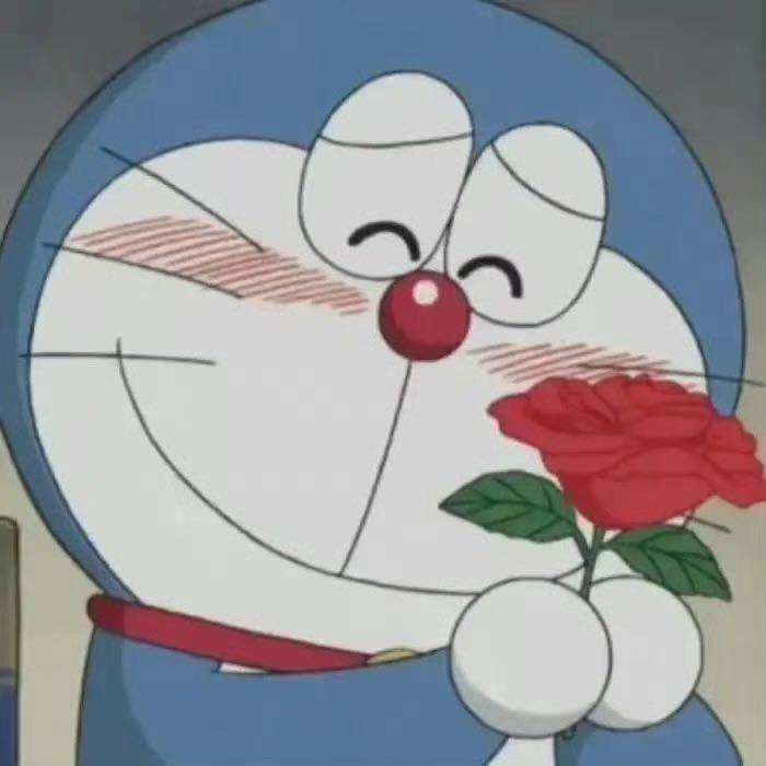 小了白了兔兔兔