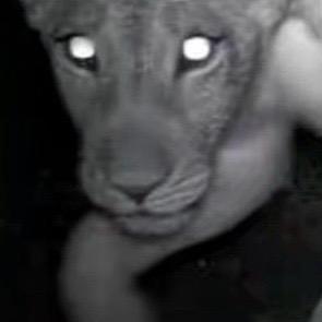 󠀀󠀀 󠀀󠀀 󠀀󠀀 󠀀󠀀