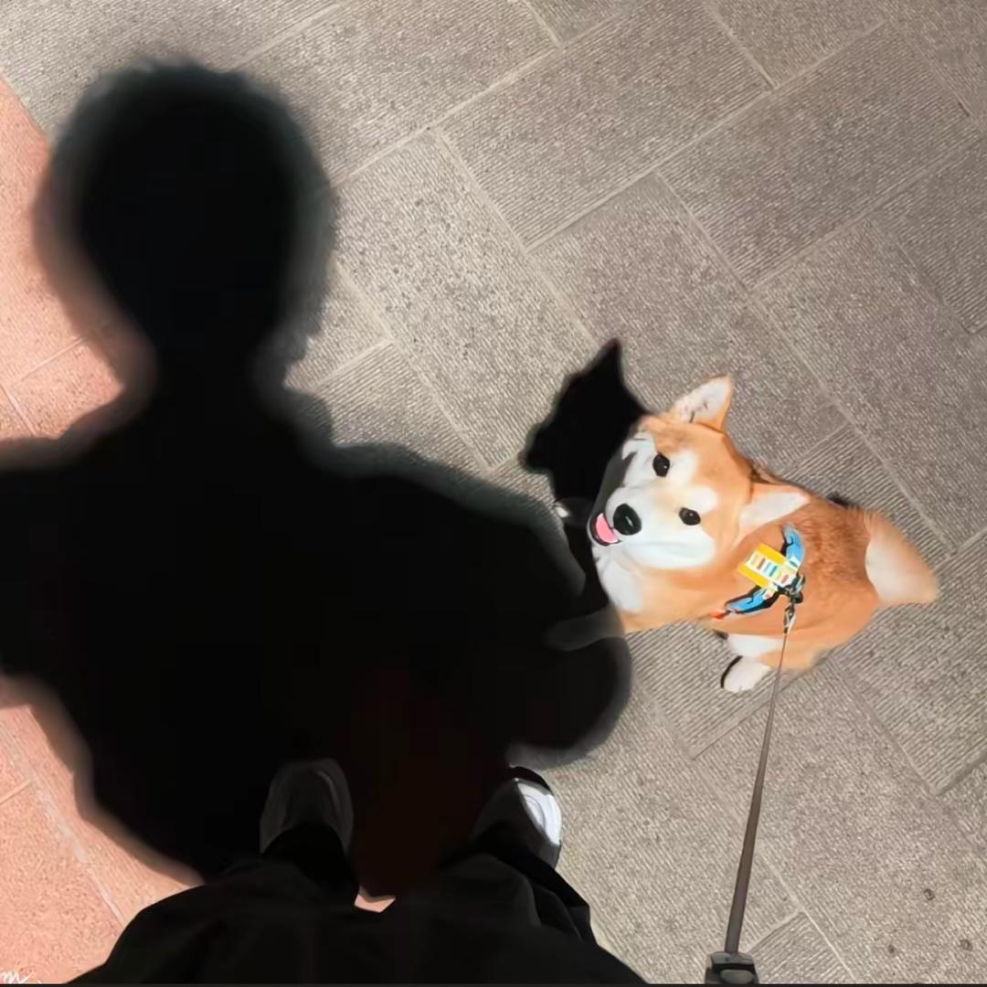 在发什么呆