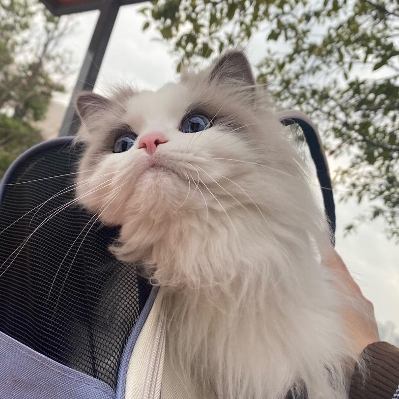珊生有幸