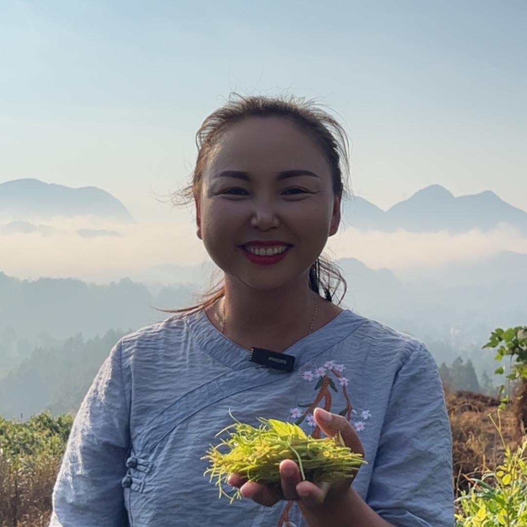 来凤藤茶  芳姐