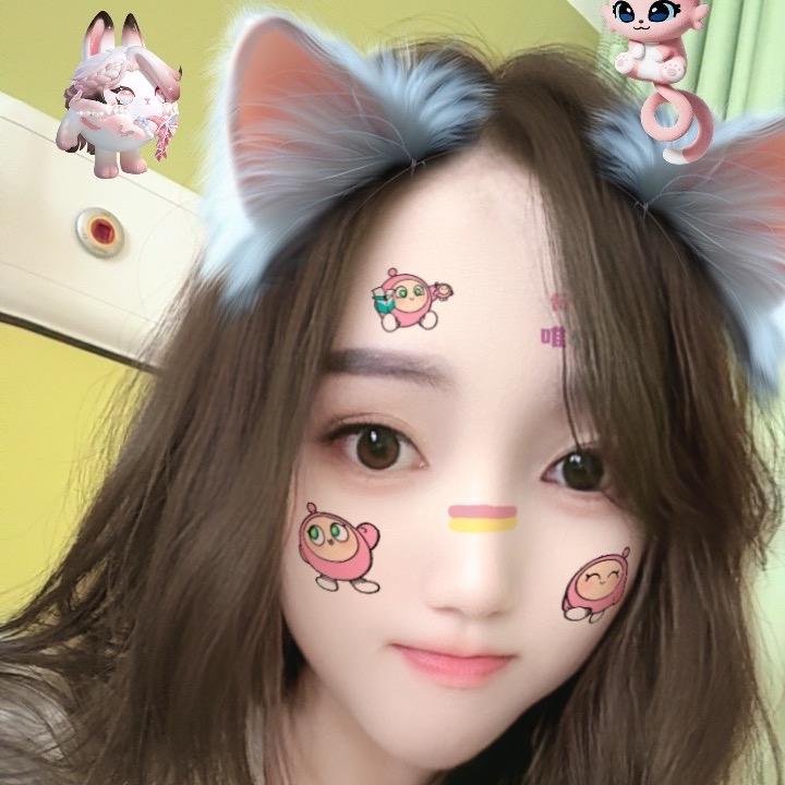 猪兔子🐰