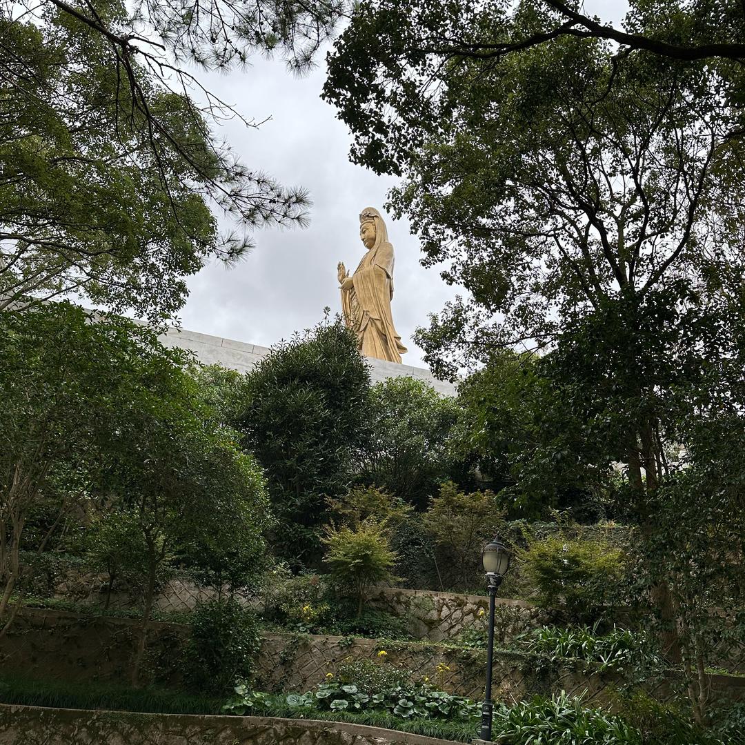 七平八稳🍒1️⃣