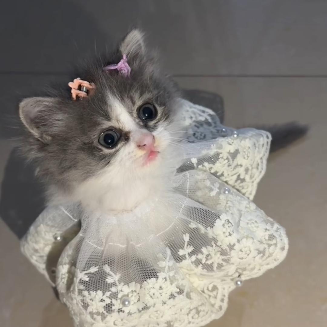 @喜雅🌻🌻🌻