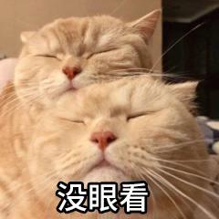 ＂南方姑娘＂