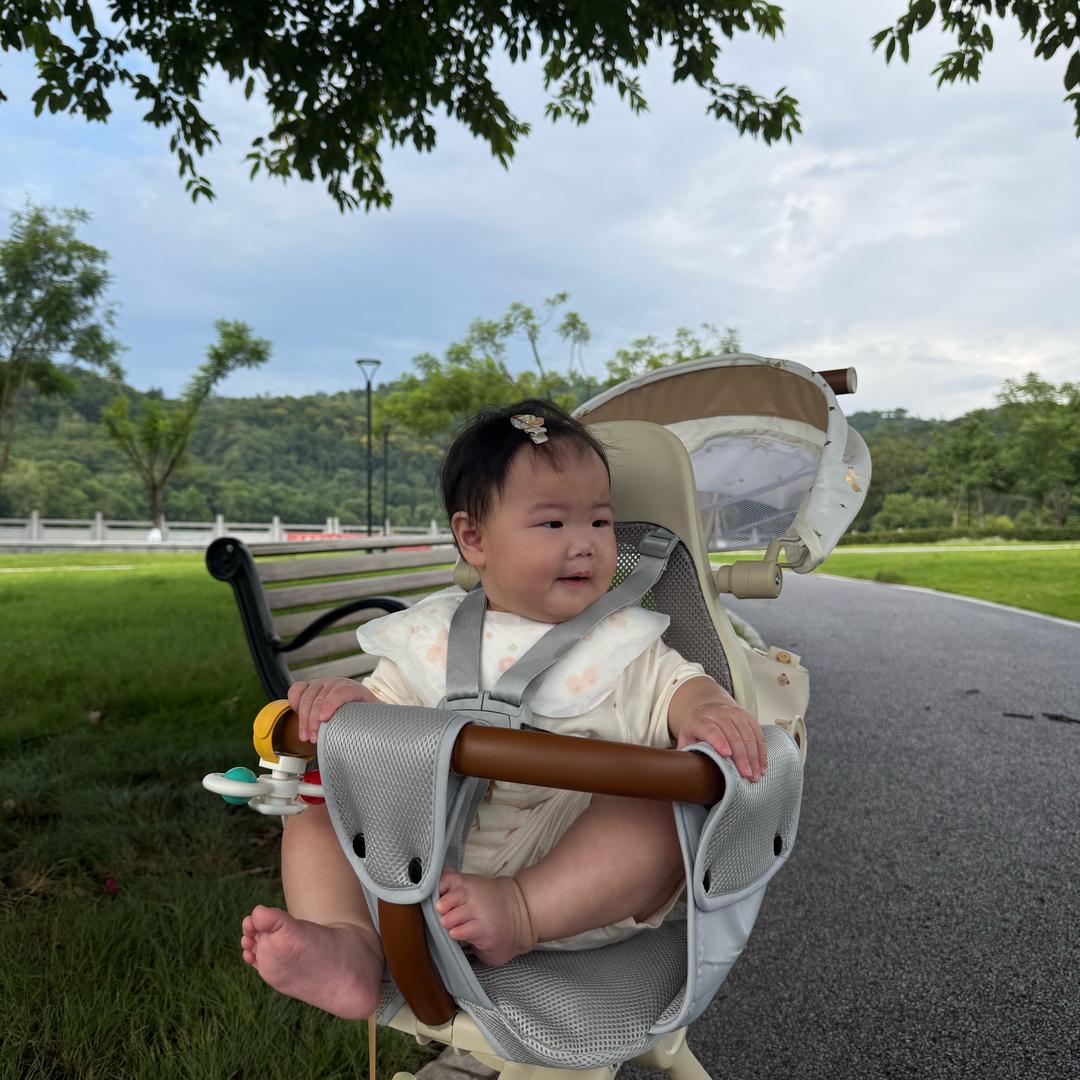 赶鸭老爷爷