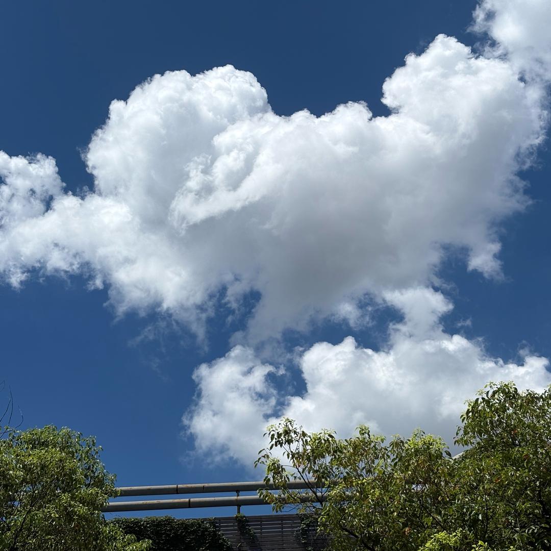 木子老师（江西高职）