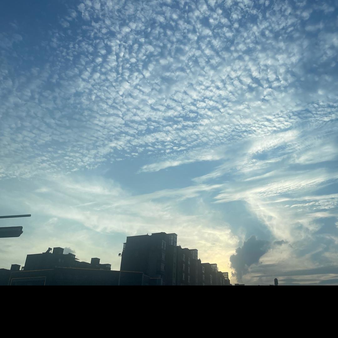 陈顺子