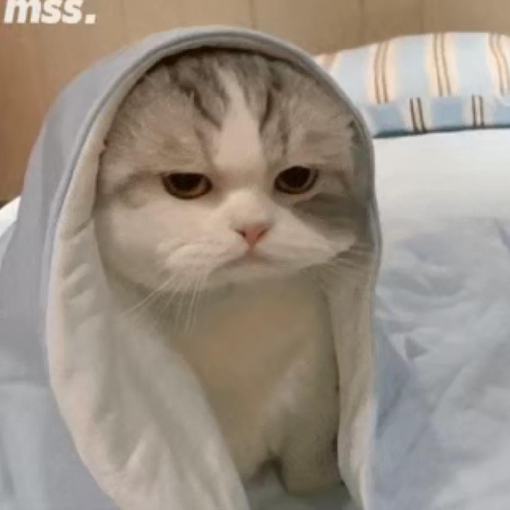 天绫