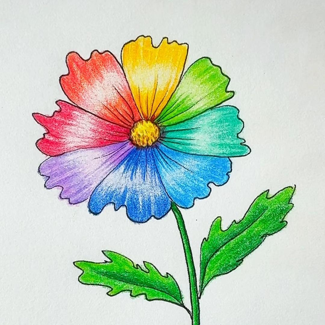 七色花简笔画（手抄报）