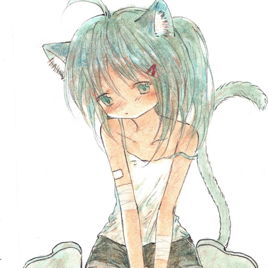 洁尼龟