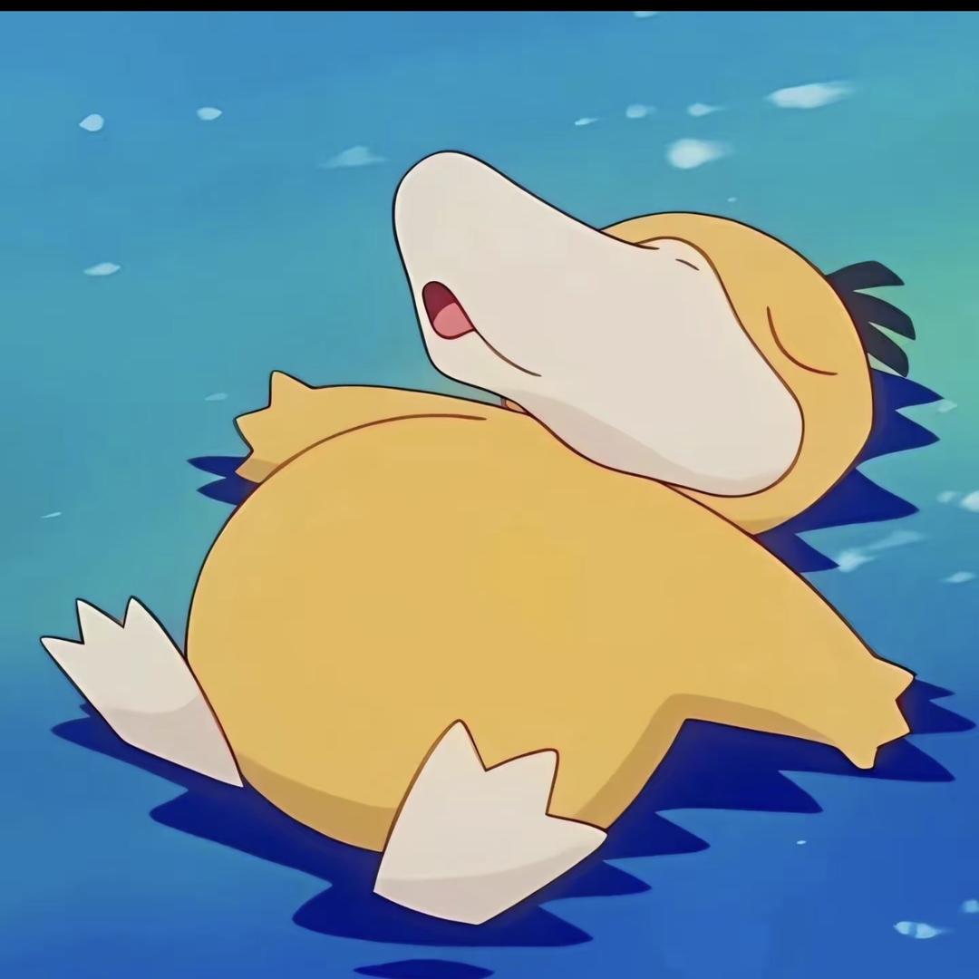 可达鸭师傅（娄底总代理）