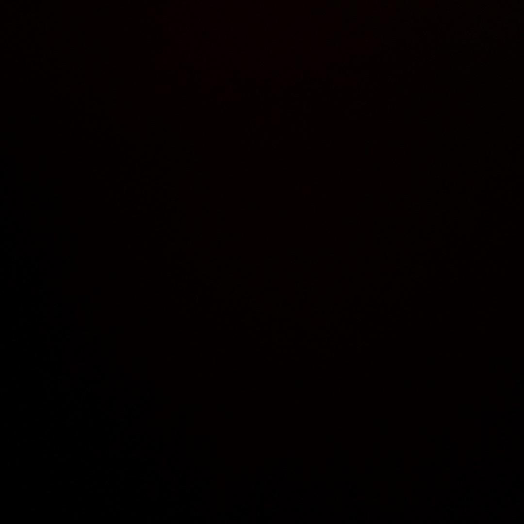 Sxl🕊️