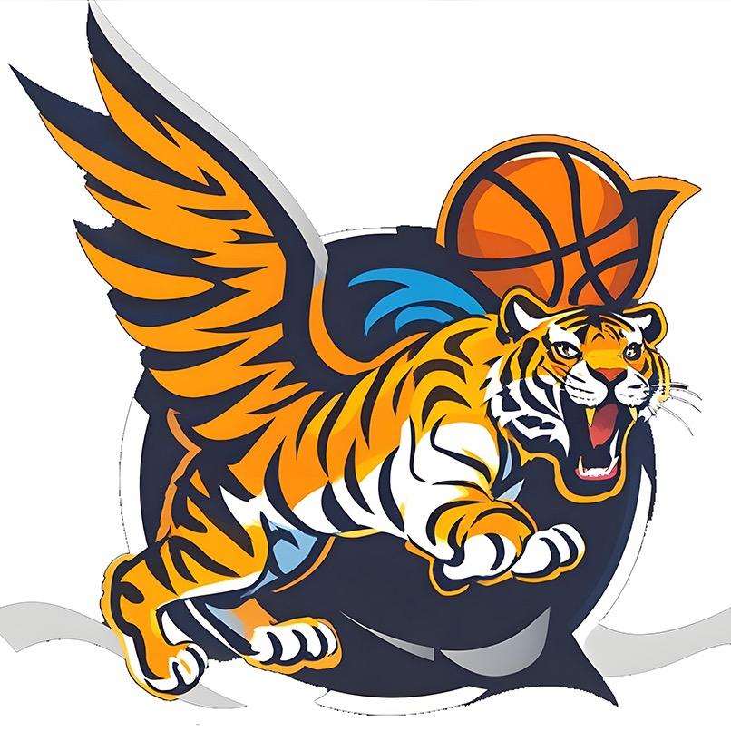Fly Basketball