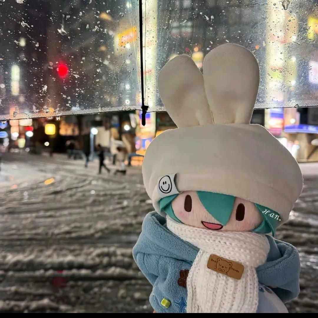 苍山的雪