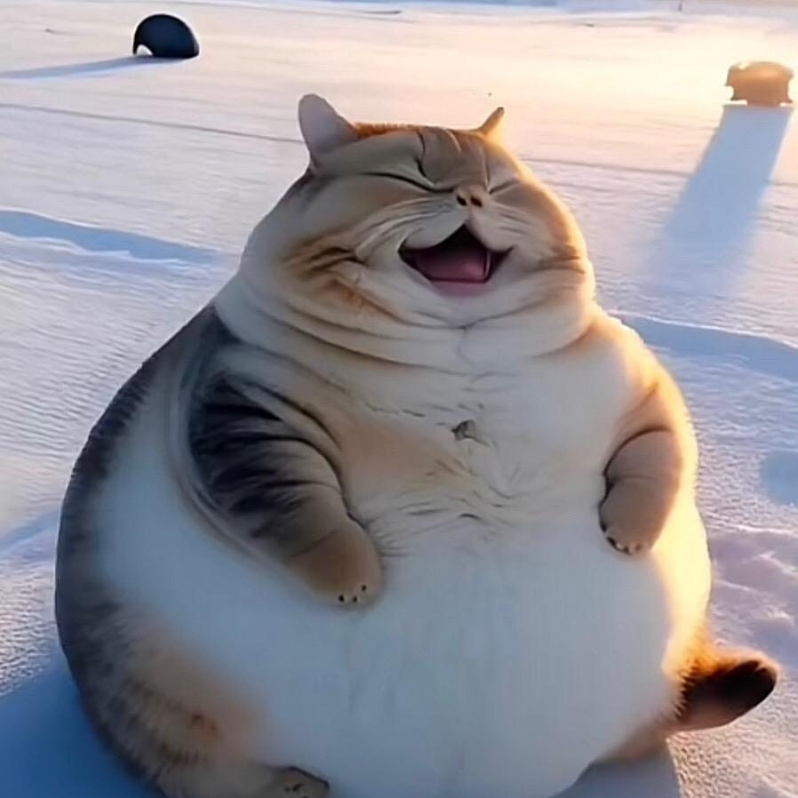 3.3