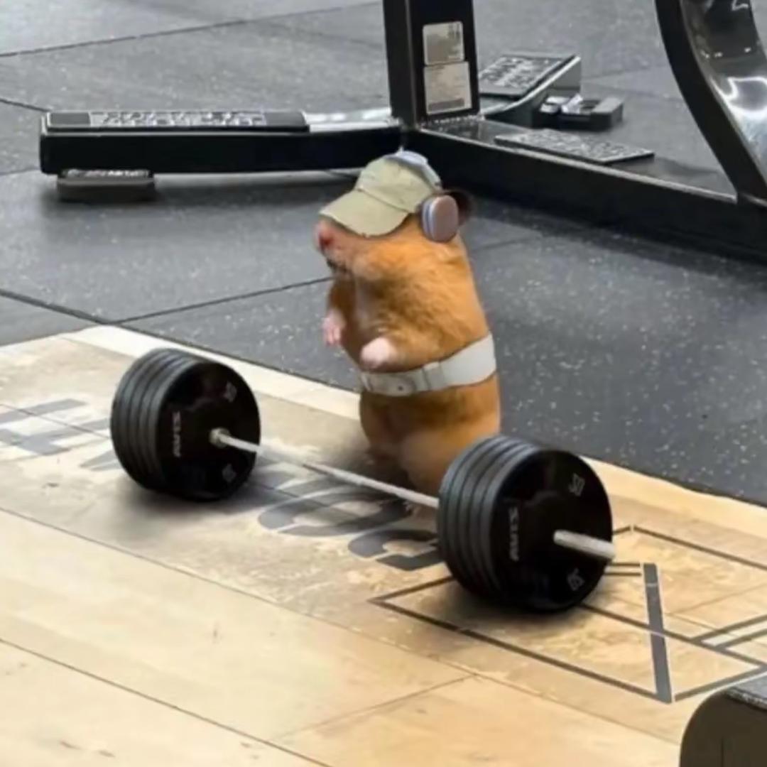 t_