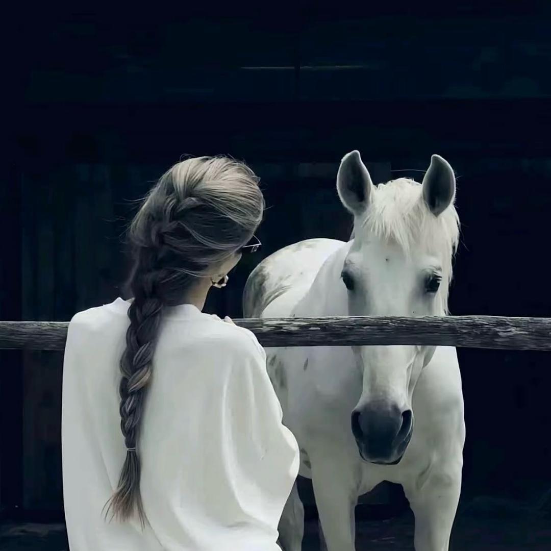 ㅤㅤㅤㅤ   ︌ㅤ