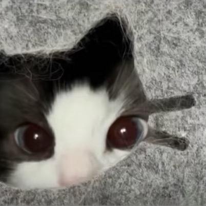 爱在 西元前