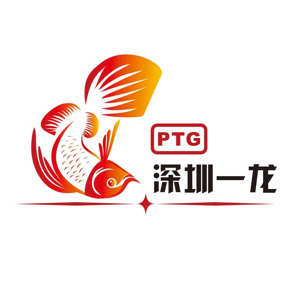 深圳一龙-平头G