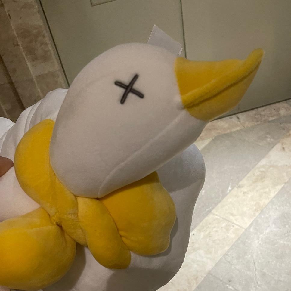 大鹅总裁