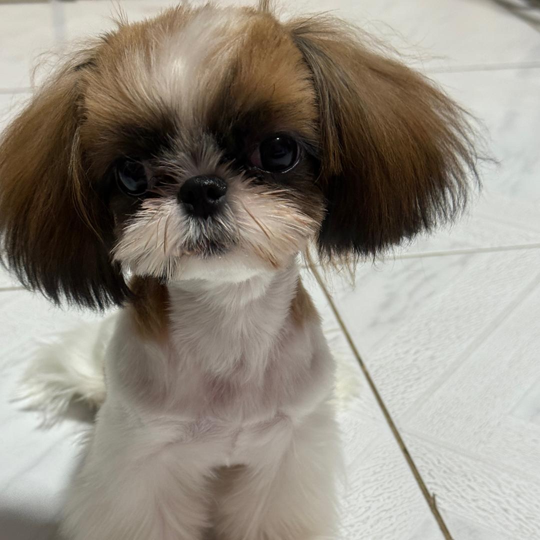 兜兜🌾有米ོ࿐