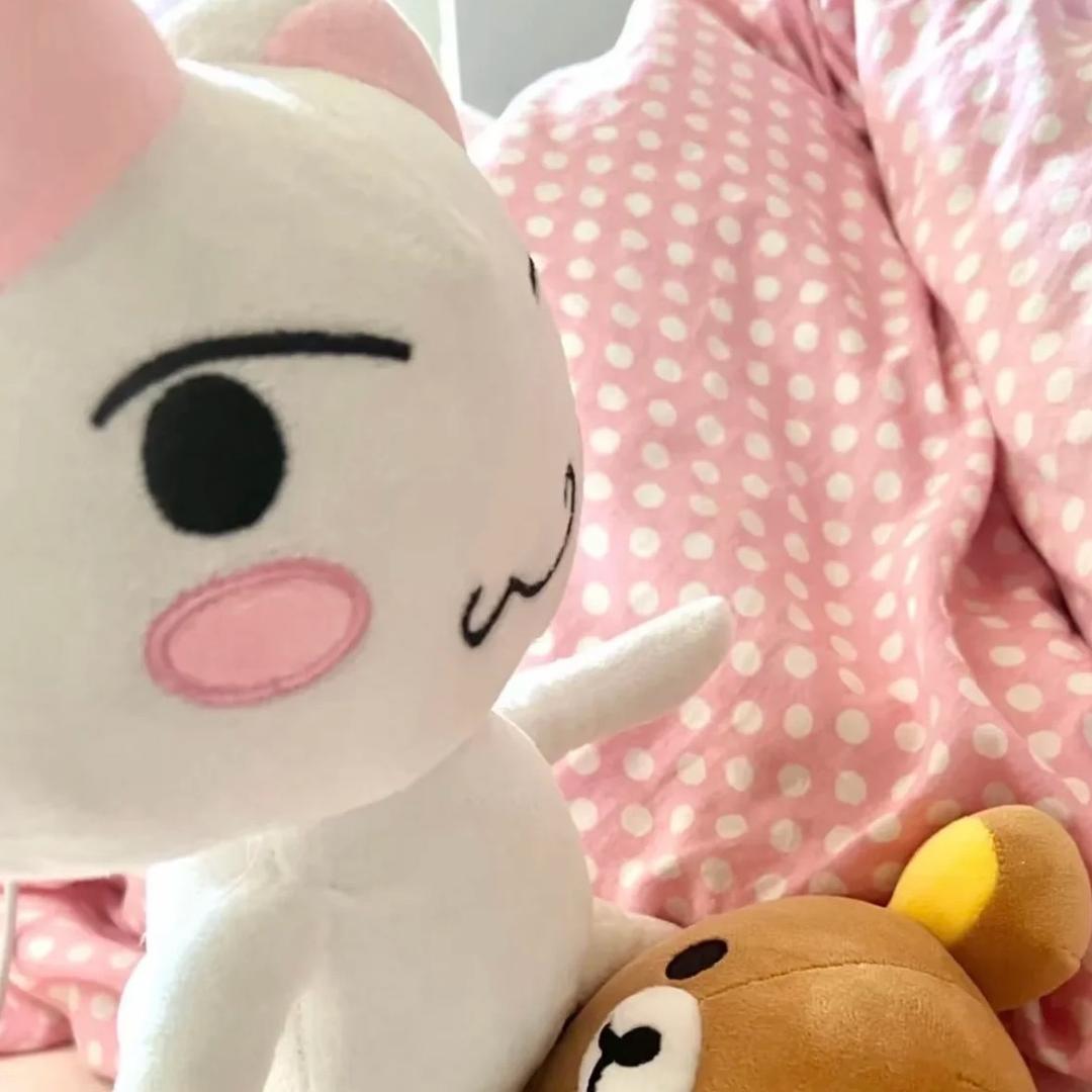 一只小企鹅
