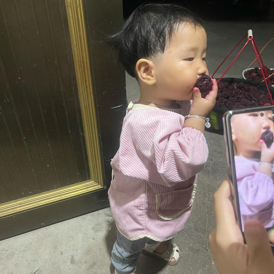 正宗仙居杨梅