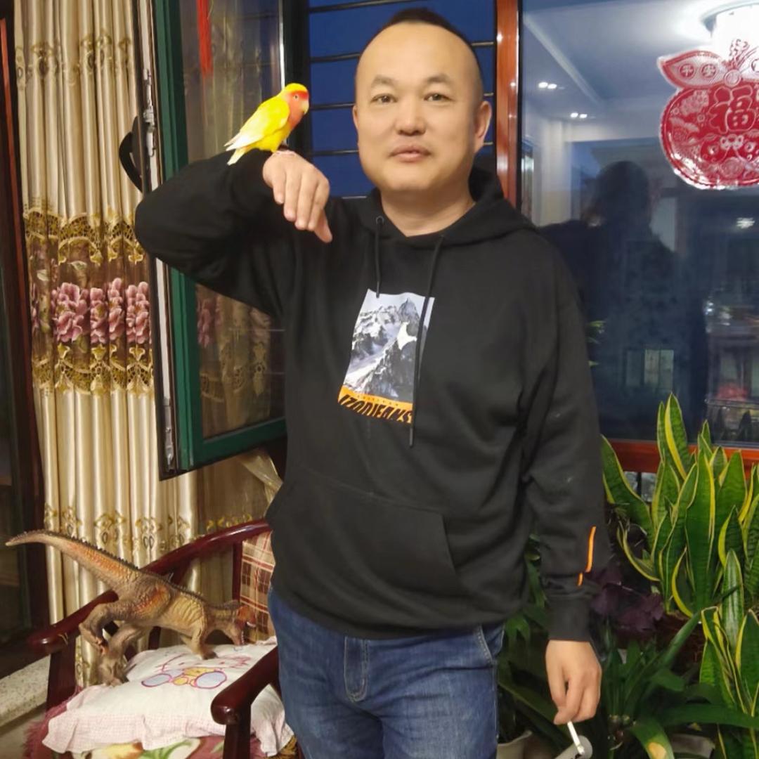 乱舞智者