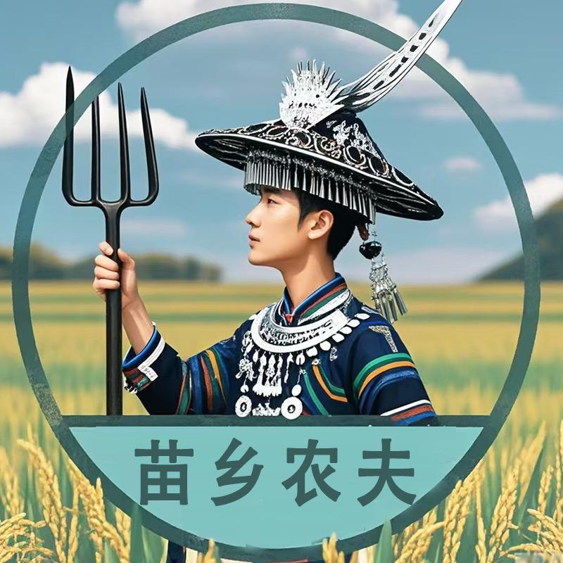 苗乡农夫土特产