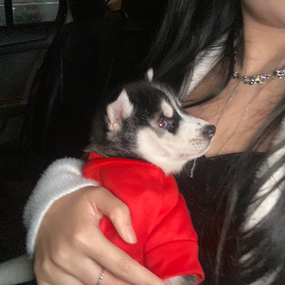 是十六啊🐶