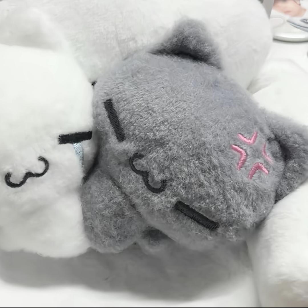 泪