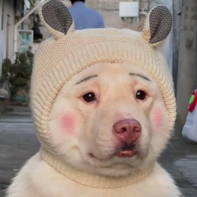 piupiu你