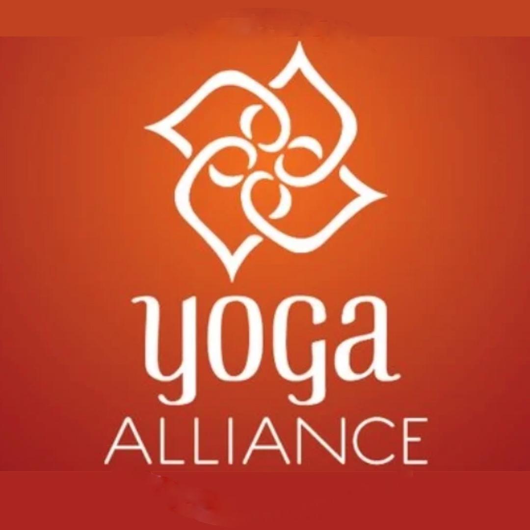 全美瑜伽联盟证书认证杨老师