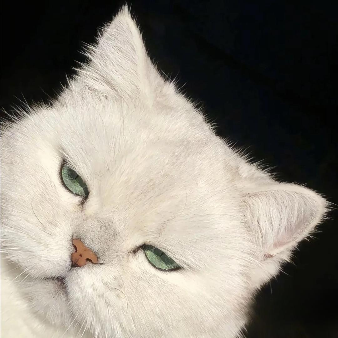 发什么呆