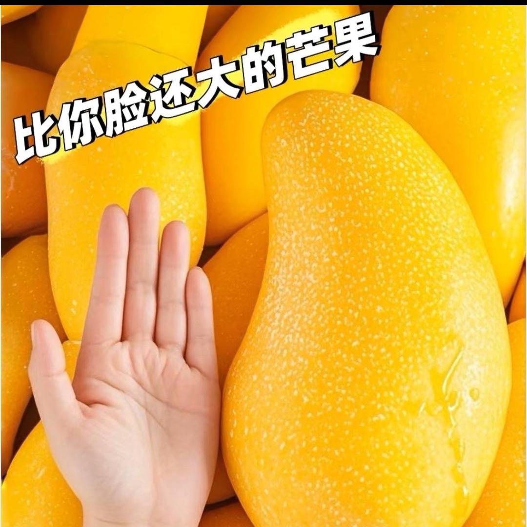 华哥水果联盟