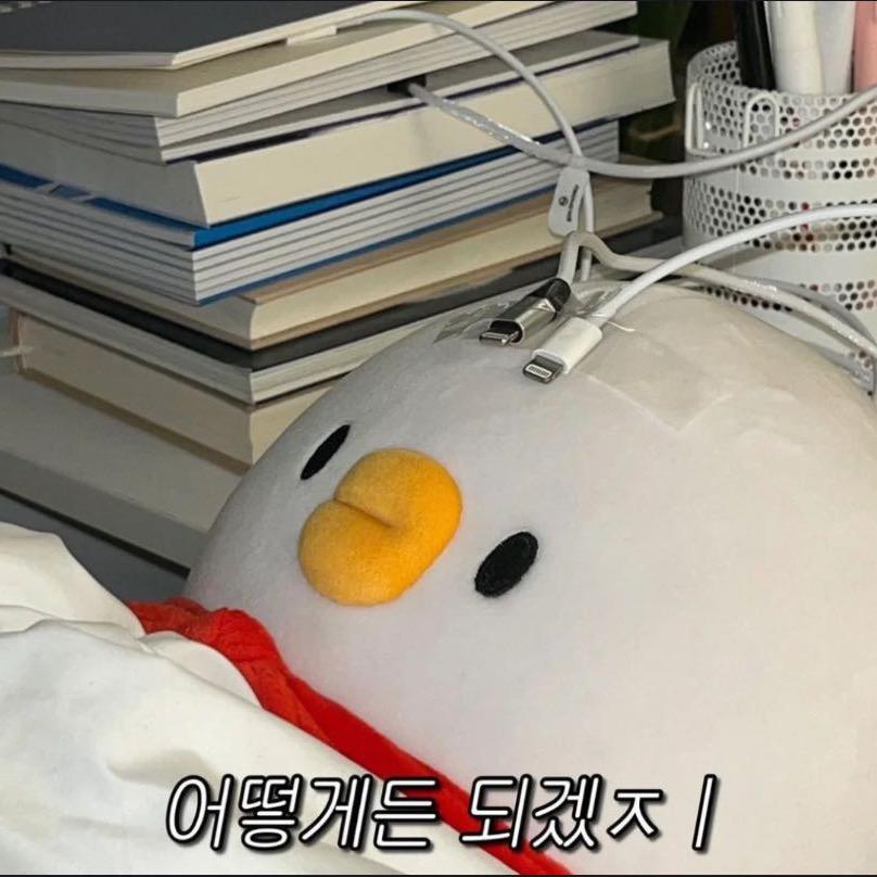 y_m_wol