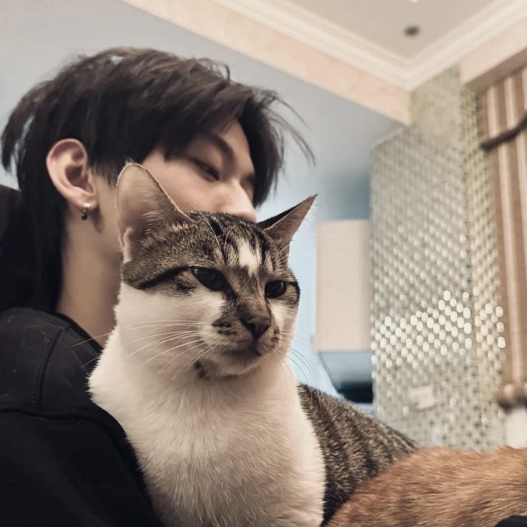 nnn佳凯（扫地版）