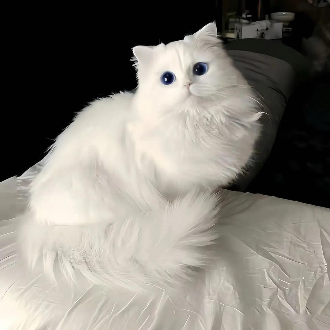 我妻由乃
