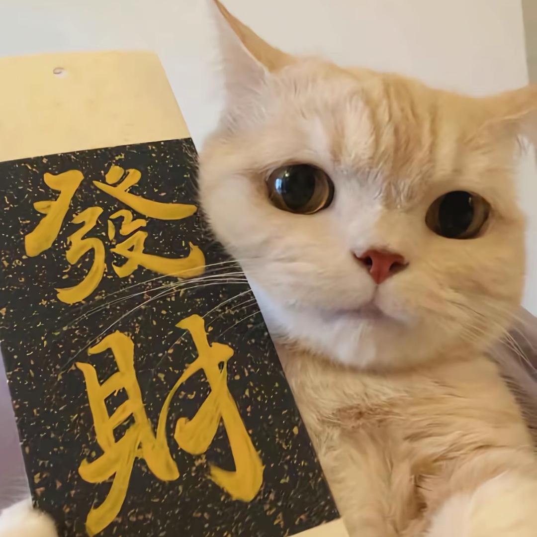 招财猫舍