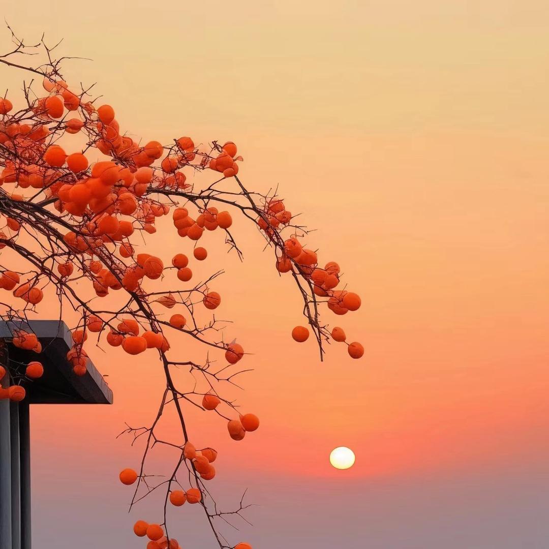 淇毅果〈英〉