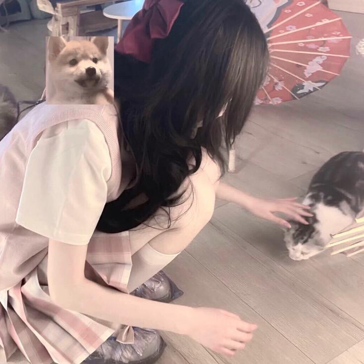 瑶困困