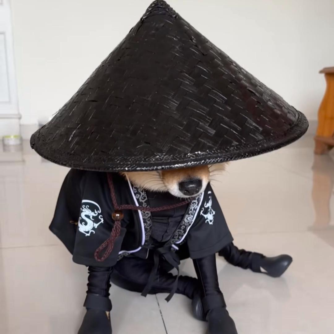 袜子反穿