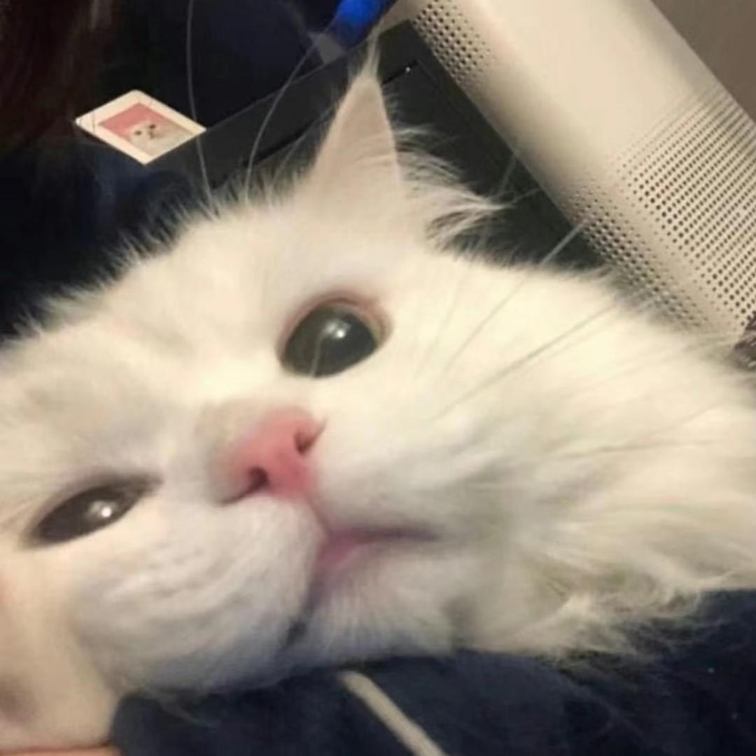 明天一定早点睡