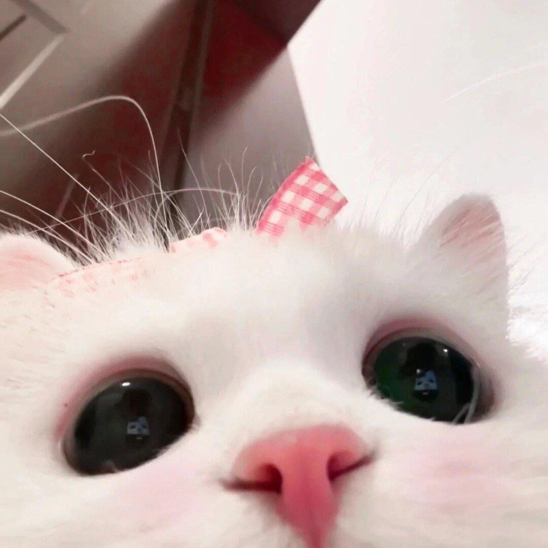 yy