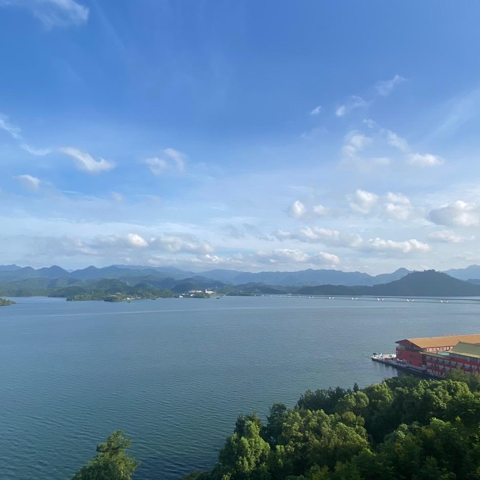南山栽树