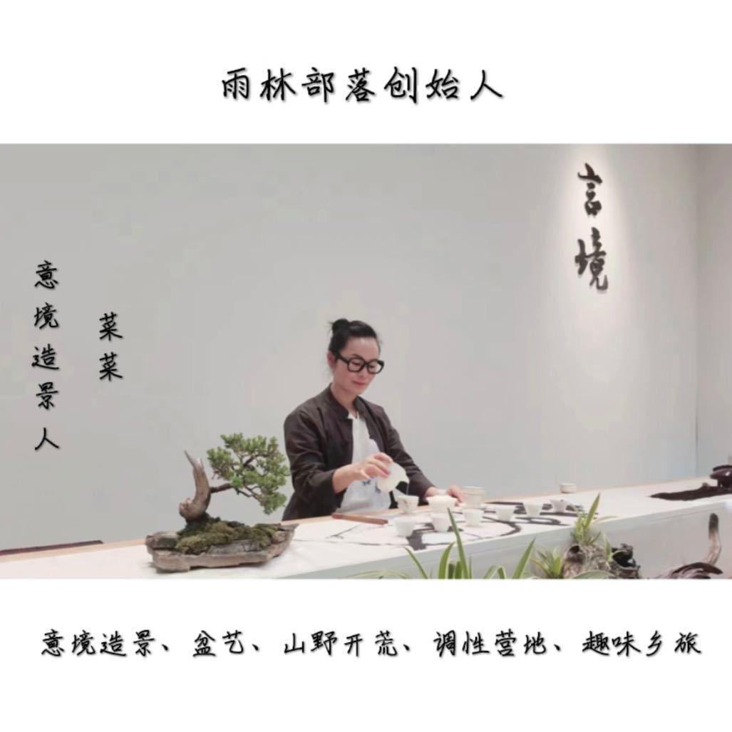 菜菜·雨林部落意境造景人·开荒人