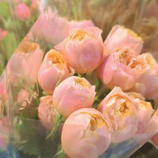 弘法寺湛能师父